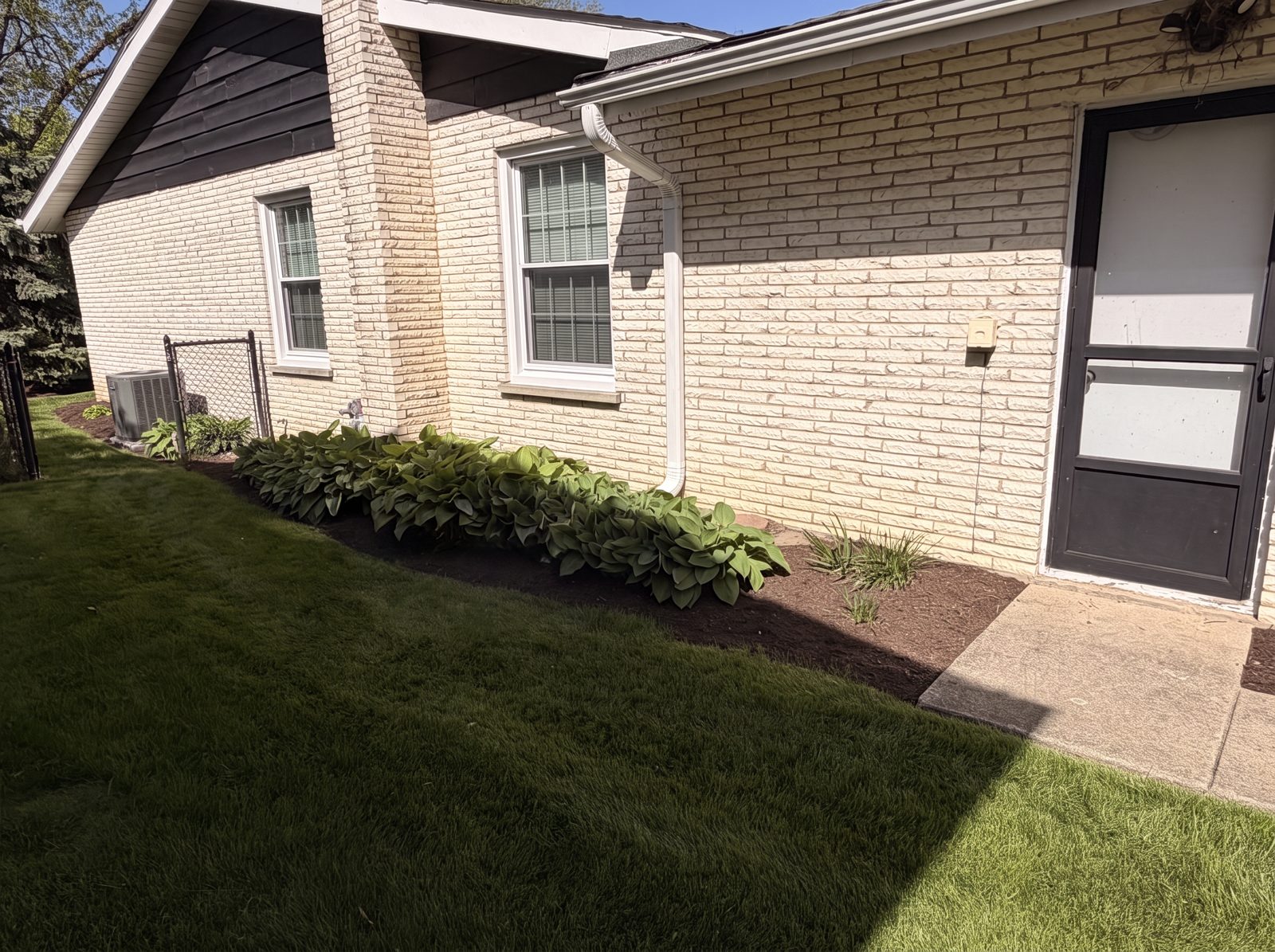Hosta beds & shaded borders