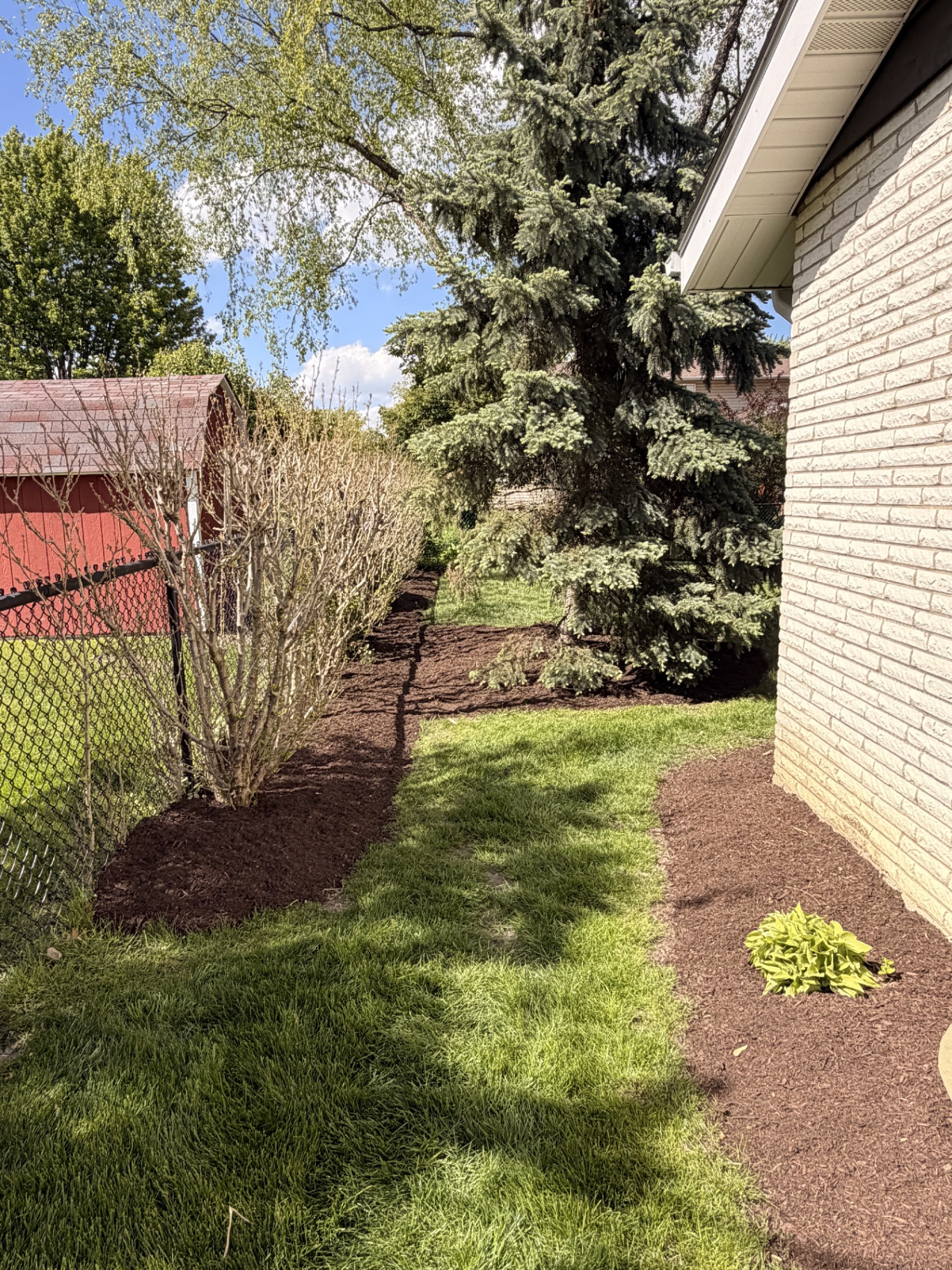 Side yard mulch pathway between beds