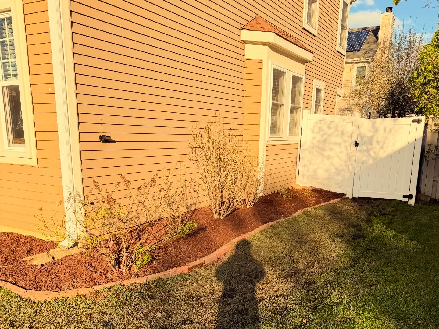 Paver-edged foundation bed with fresh mulch
