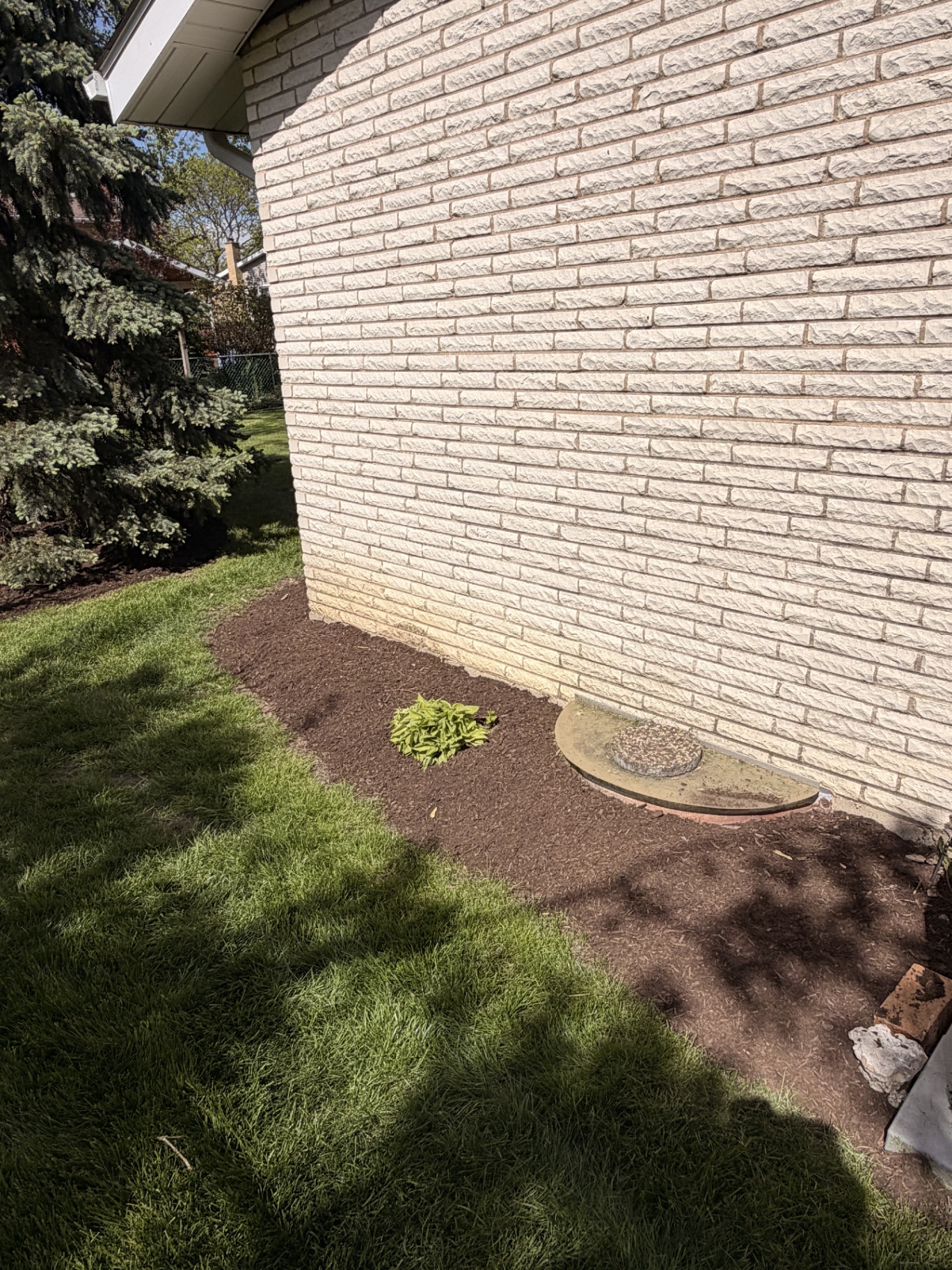 Side foundation mulch bed and sod patch