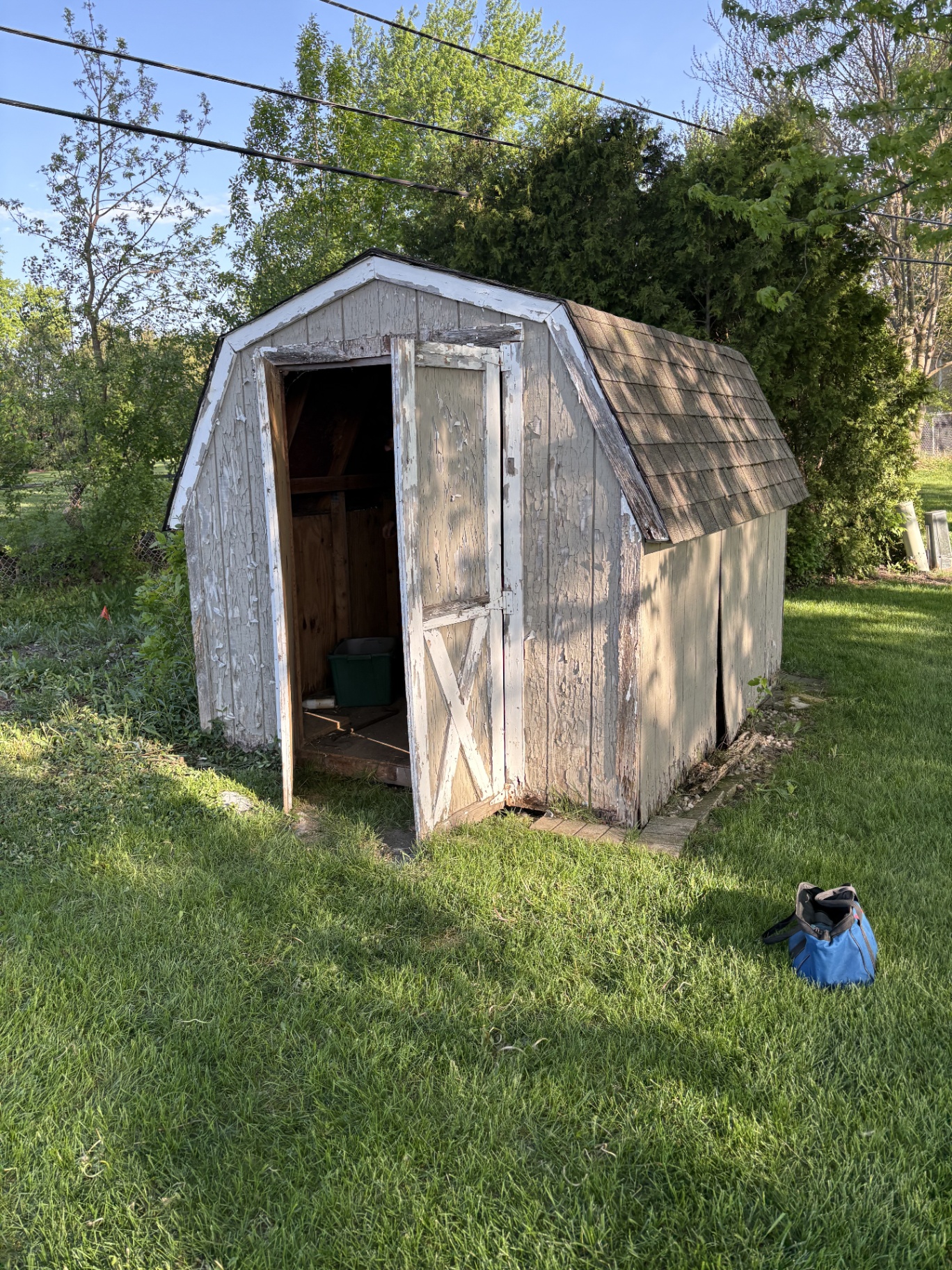 Shed assessment — front