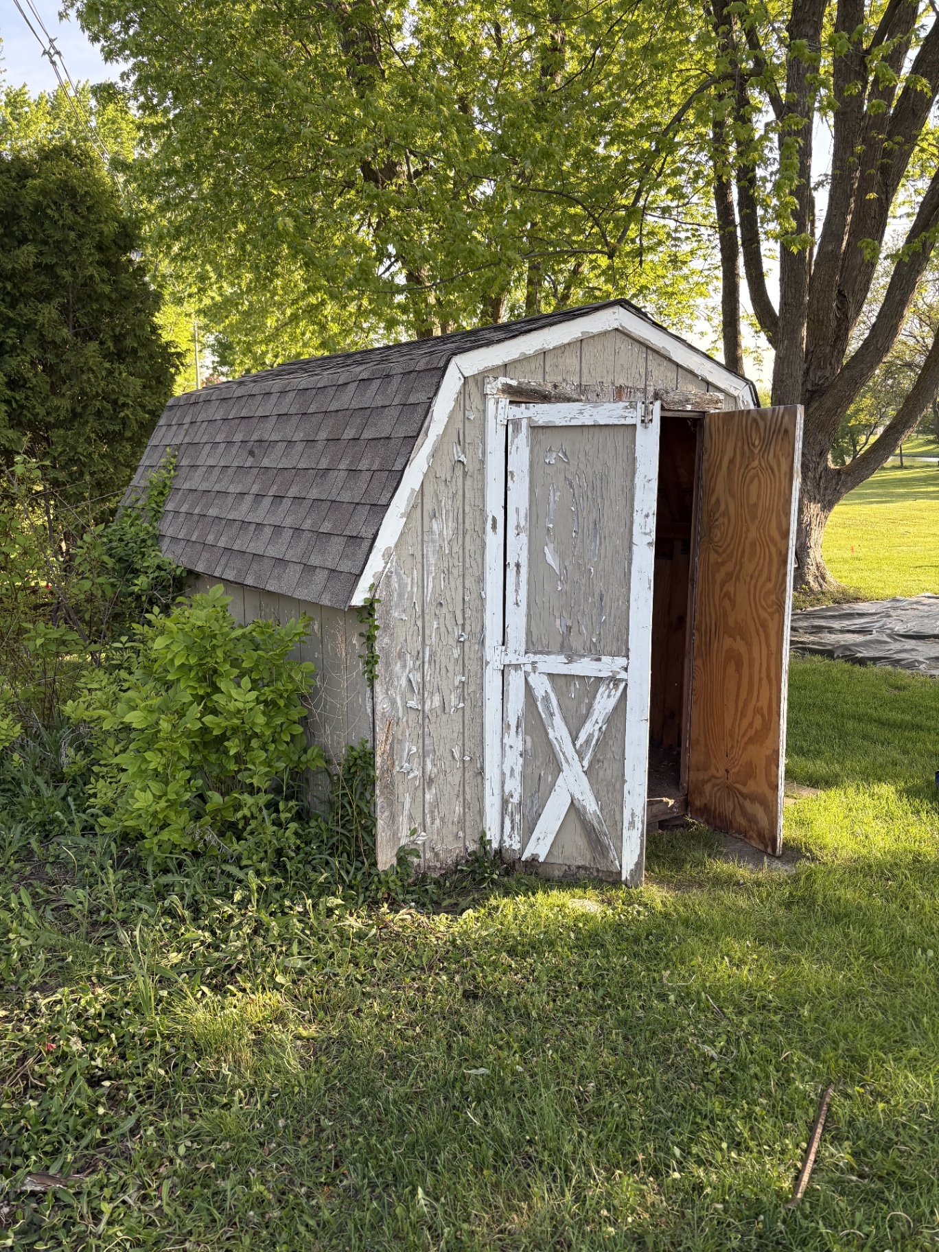 Shed assessment — side